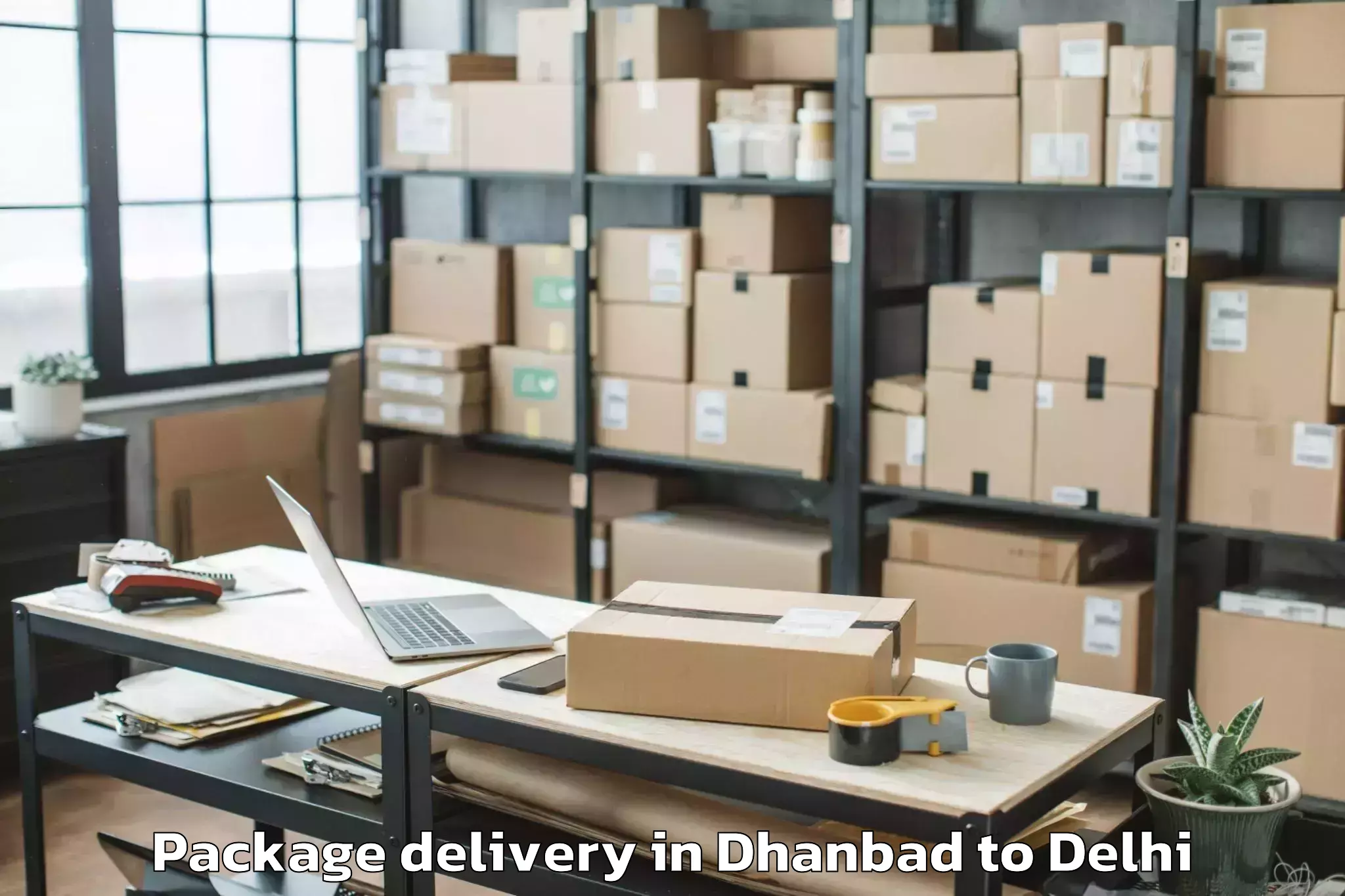 Easy Dhanbad to Unity One Mall Cbd Shahdara Package Delivery Booking